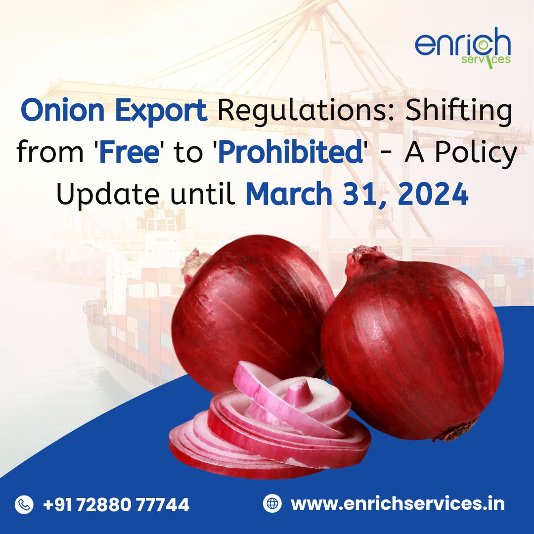 Onion Export Regulations Shifting from 'Free' to 'Prohibited' A